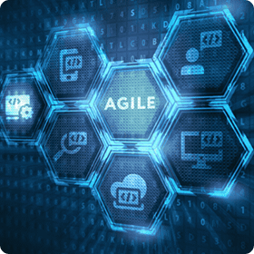 Custom Software Development & System Integration